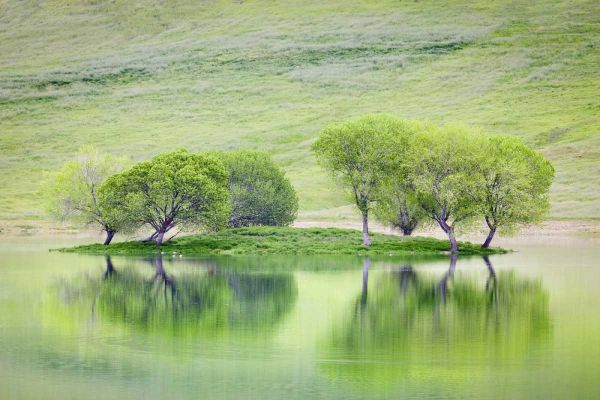 CA, Trees reflect in Black Butte Reservoir